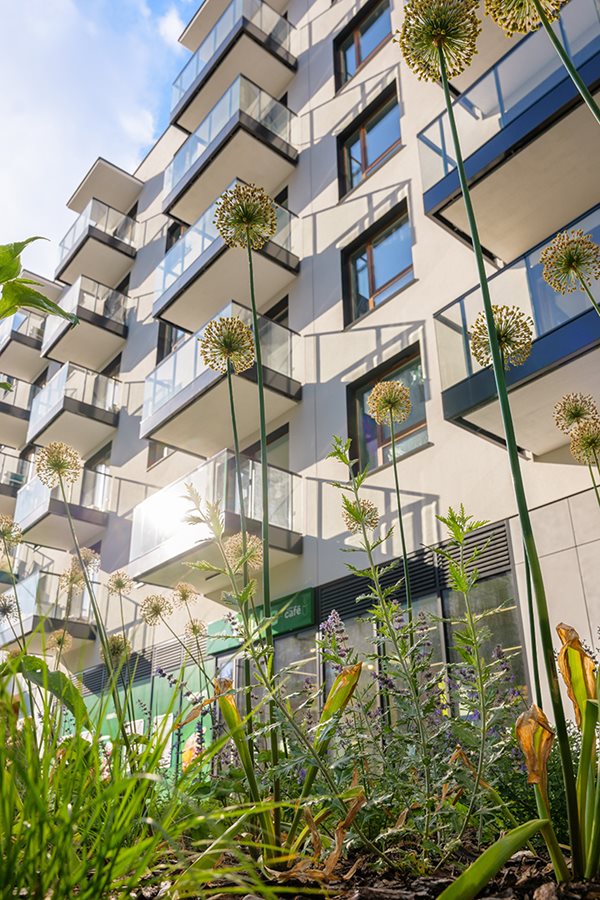 Apartamenty Rudnickiego - Zdjęcie 6
