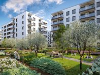 Miniatura zdjęcia 7