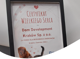 Grafika
