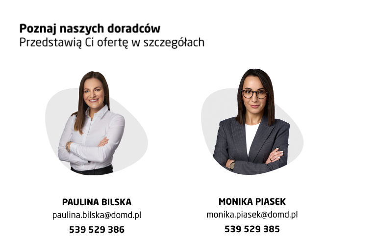 grafika