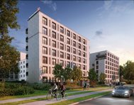 Miniatura zdjęcia 8