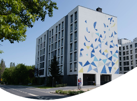 Murale na Osiedlu Bokserska 71