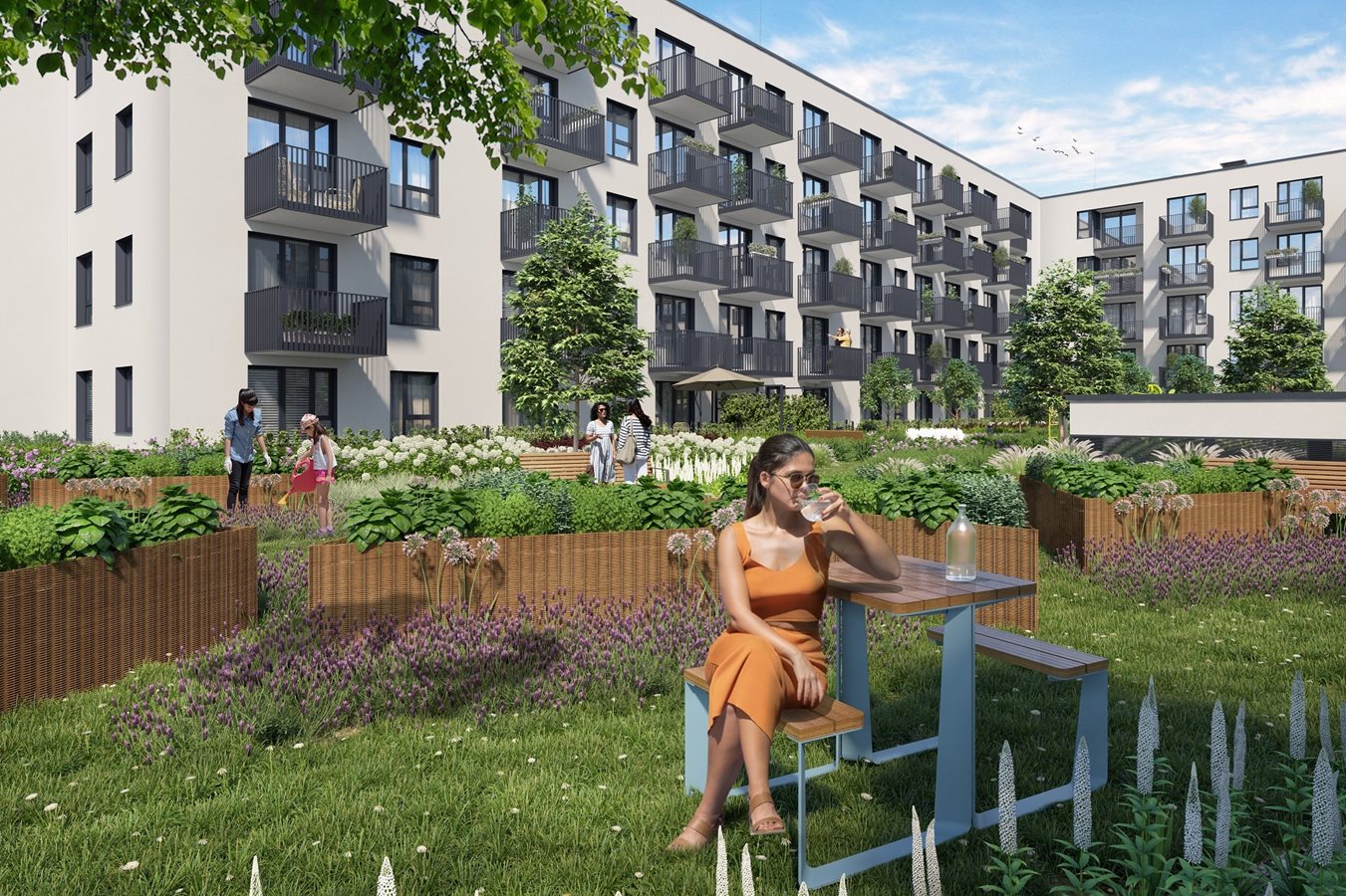 Osiedle przy Alejach - Widok na ogródki społeczne