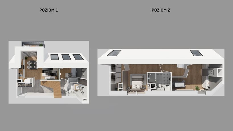 Rzut 3D