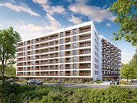 Miniatura zdjęcia 8