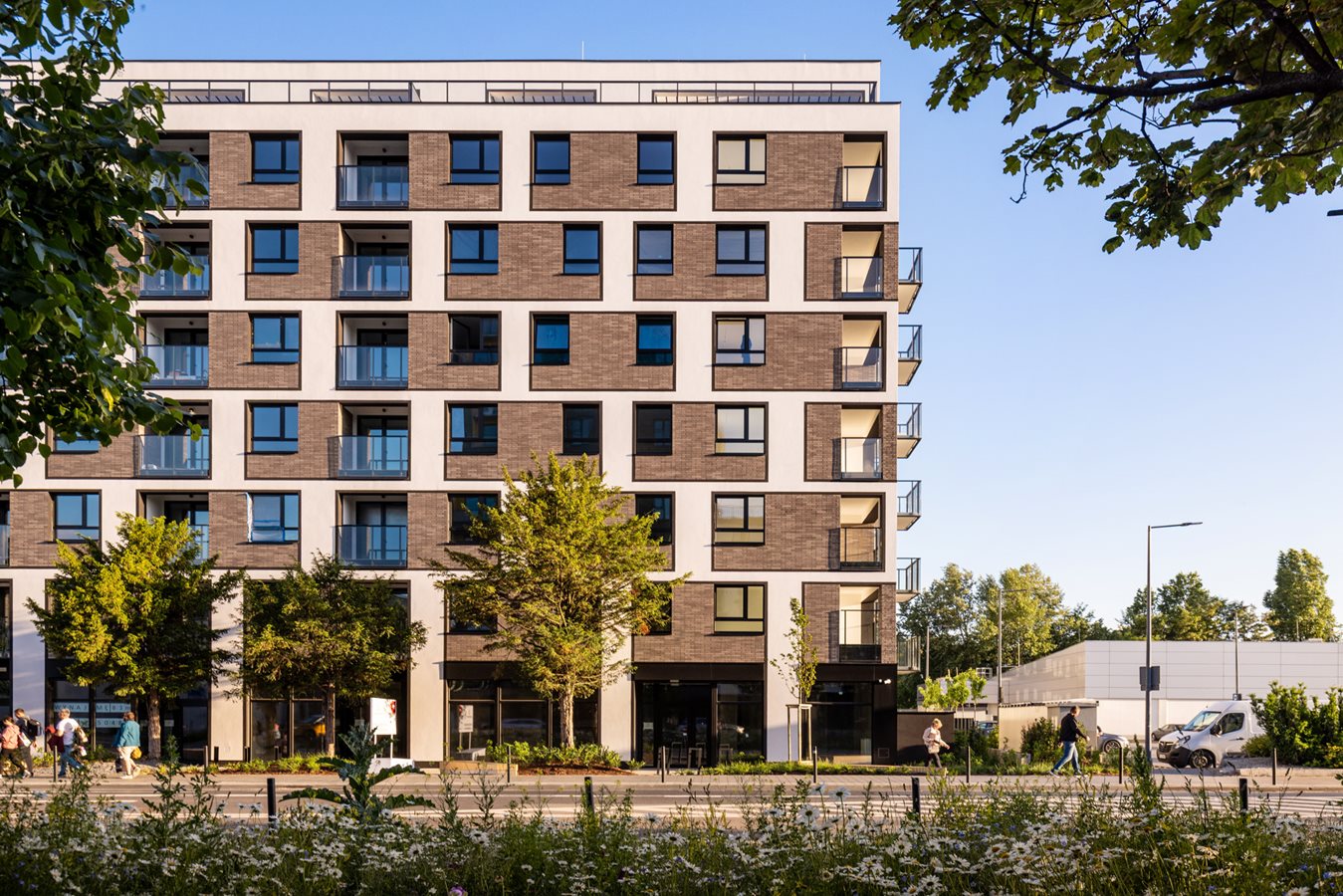 Braniborska 80 - Zdjęcie 4