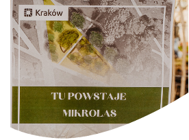 Sadzenie drzew na Bronowicach