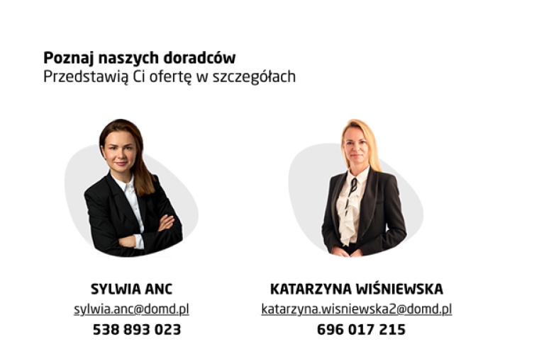 grafika