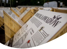 grafika domek dla owadów