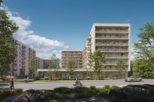 Miniatura zdjęcia 11