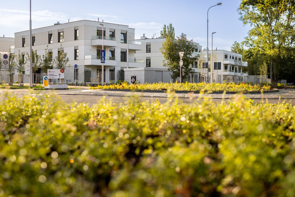 zdjęcie w galerii